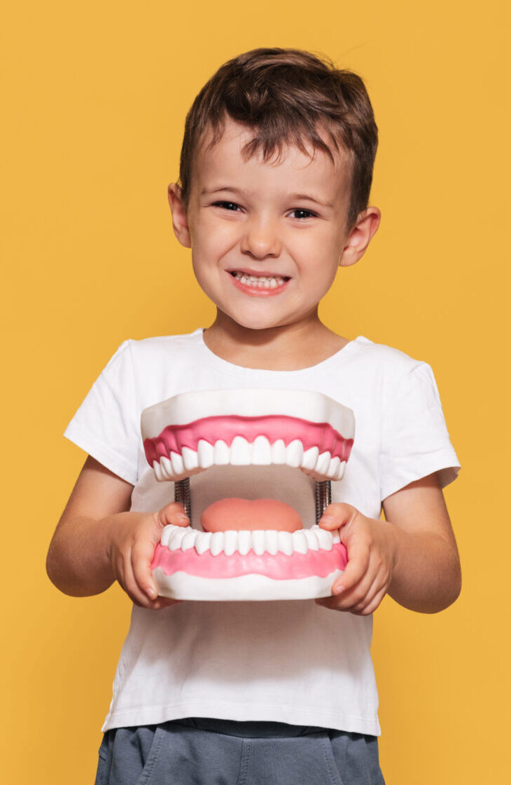 A smiling boy with healthy teeth holds a large jaw and a toothbrush on a yellow background. A place for your text. Oral hygiene. Pediatric dentistry. Rules for brushing teeth